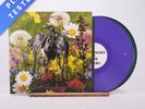 Current 93 Swastikas For Noddy / Crooked Crosses For The Nodding God 2 x LP