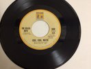 “Cool, Cool, Water”  Beach Boys on Brothers/Reprise Label-0998 Stock Copy.  Rare