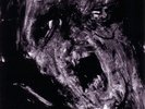 Mgła - Groza (LP) Mgla Vinyl New and Sealed