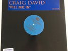 Craig David – Fill Me In - Artful Dodger Remix Vinyl 12