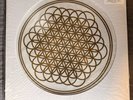 Bring Me the Horizon Sempiternal White/Gold Picture 10th Anniversary Vinyl LP
