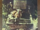 Spirits And Worm S/T LP  1970 Psych Akarma Reissue