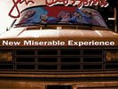 Gin Blossoms New Miserable Experience Hey Jealousy, Found Out About You NEW LP