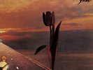 The Pretty Things Parachute (Vinyl) 12