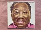 MUDDY WATERS • I’m Ready • 1978 Blue Sky Records • EXCELLENT  Vinyl LP