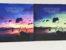 Pink Floyd - Altes Casino Montreux 1970 Volume 1 & 2 Vinyl Record Lot