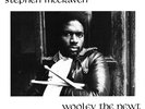 Stephen McCraven - Wooley the Newt - Vinyl Record - 92 - D659z