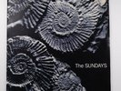The Sundays ‎– Reading, Writing And Arithmetic - Rough 1990 LP Vinyl White -VG