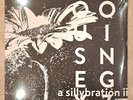 Housey Doingz ‎– A Sillybration II (Starlight Edition) 2xLP 90s Deep Tech House