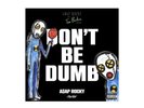 Asap Rocky Don't Be Dumb Dummy Vinyl Signed Black White Presale  Sealed  2026