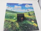 SIGNED COVER  NEW  Rainbow Kitten Surprise RKS Bones Blueberry Colored Vinyl