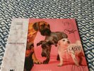 The Lottery Winners First Vinyl album. Rare clear vinyl, signed unplayed record