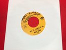 BENNY HARPER  Don't Let It Happen To You 1968 US 7