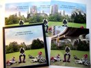 GEORGE HARRISON VINYL BOX SET ' ALL THINGS MUST PASS ' ANNIVERSARY EDITION  2001