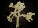 U2 - The Joshua Tree 30th Anniversary Deluxe Edition (7xLP + Photos) VINYL