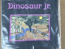 Dinosaur Jr. EP 45 Vinyl Record Little Fury Things / In A Jar JAR 7”