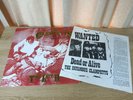 The Clampetts (James Freud # The Models) 1987 Vinyl ' The Last Hoedown - Live