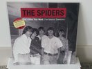 The Spiders:  Don't Blow Your Mind | The Mascot Sessions - Alice Cooper