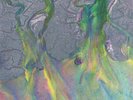 ALT J - An Awesome Wave - Vinyl (gatefold white vinyl LP)
