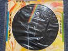 Pink Floyd Dark Side of the Moon Vinyl Record Picture Disc