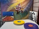 Red Hot Chili Peppers Californication Yellow Purple Record Limited Edition R9