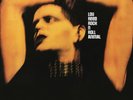 Lou Reed Rock N' Roll Animal (Vinyl)