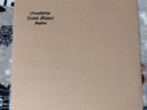 Replica-Oneohtrix Point Never (LP) TEST PRESSING #69 Very Good Check Description