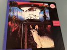 Midnight Oil – Species Deceases 12