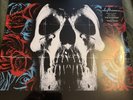 Deftones : Deftones VINYL 12