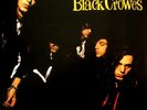 LP The Black Crowes Shake Your Money Maker NEAR MINT American Recordings