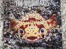 Rare The Wildhearts 2lp Fishing For Luckies Album Record Vinyl Glam Rock