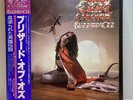 Ozzy Osbourne – Blizzard Of Ozz/LP 1981 Jet Records 25AP 1992 w/OBI Japan EX/EX