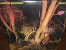 ECHO AND THE BUNNYMEN CROCODILES SRK 6096 SIRE STERLING KOROVA 1980 LP IN SHRINK