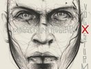Volxsturm Massenuntauglich SILVER Sunny Bastards Vinyl LP