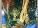 Echo and the Bunnymen: Crocodiles, used 1980 vinyl LP, excellent, free shipping