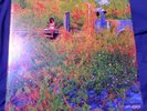 Jhene Aiko “Trip” Limited Edition, Translucent Orange Vinyl, Double LP.