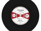 CHORDS FIVE  / I AM ONLY DREAMING / UNIVERSAL VAGRANT / 7''