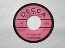 60s GARAGE PUNK Rovin Flames HOW MANY TIMES Love Song #6 DECCA Promo EX
