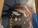ASAP ROCKY x Bilt Member Exclusive Don't Be Dumb 2LP Vinyl Ready To Ship NEW