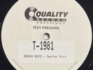 BEACH BOYS Surfer Girl QRP Analogue Productions Test Pressing 12
