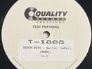 BEACH BOYS Surfin' Safari QRP Analogue Productions Mono Test Pressing Vinyl LP