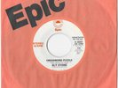 Sly Stone Crossword Puzzle Rare Stereo / Mono Promo Copy Epic Records 45