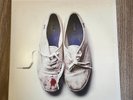 Sleigh Bells Reign Of Terror Lp Includes all 9 Inserts