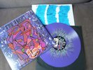 SIOUXSIE & THE BANSHEES -   Hyaena 12