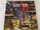 RARE SKINNY PUPPY 