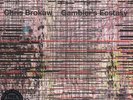 Chris Brokaw - Gambler's Ecstasy (Vinyl LP - 2012 - US - Original)
