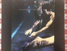 siouxsie and the banshees the scream Vinyl Lp