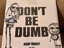 ASAP ROCKY DON'T BE DUMB 2LP Rugahand Blue White Vinyl Rough Trade Exclusive