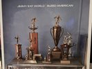 Jimmy Eat World - Bleed American LP Vinyl Interscope Records New