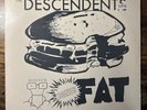 The Descendents Bonus Fat 12” 45rpm LP 1985 New Alliance